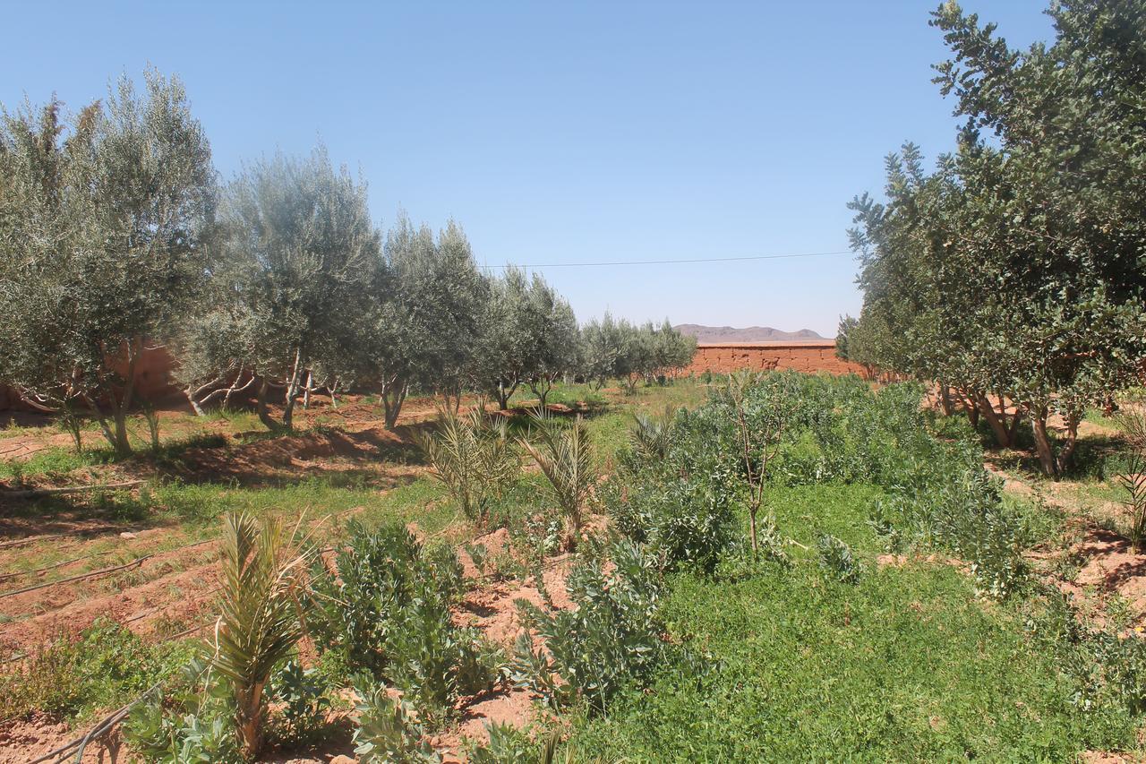 Dar Alfourssane Ferme D'Hote วาร์ซาเซต ภายนอก รูปภาพ