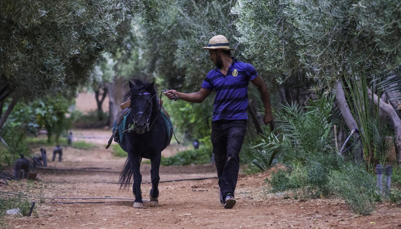 Dar Alfourssane Ferme D'Hote วาร์ซาเซต ภายนอก รูปภาพ